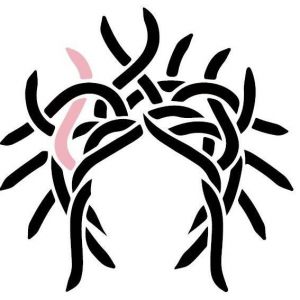 Logo Medousa