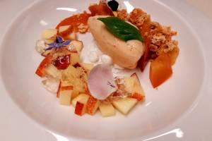Antico Guelfo
