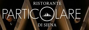 Logo PARTICOLARE Di Siena