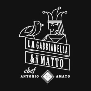 Logo La Gabbianella E Il Matto