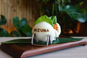 Mizuna Japanese Restaurant