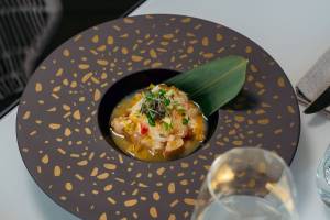Terrazza 241