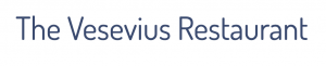 Logo Vesevius