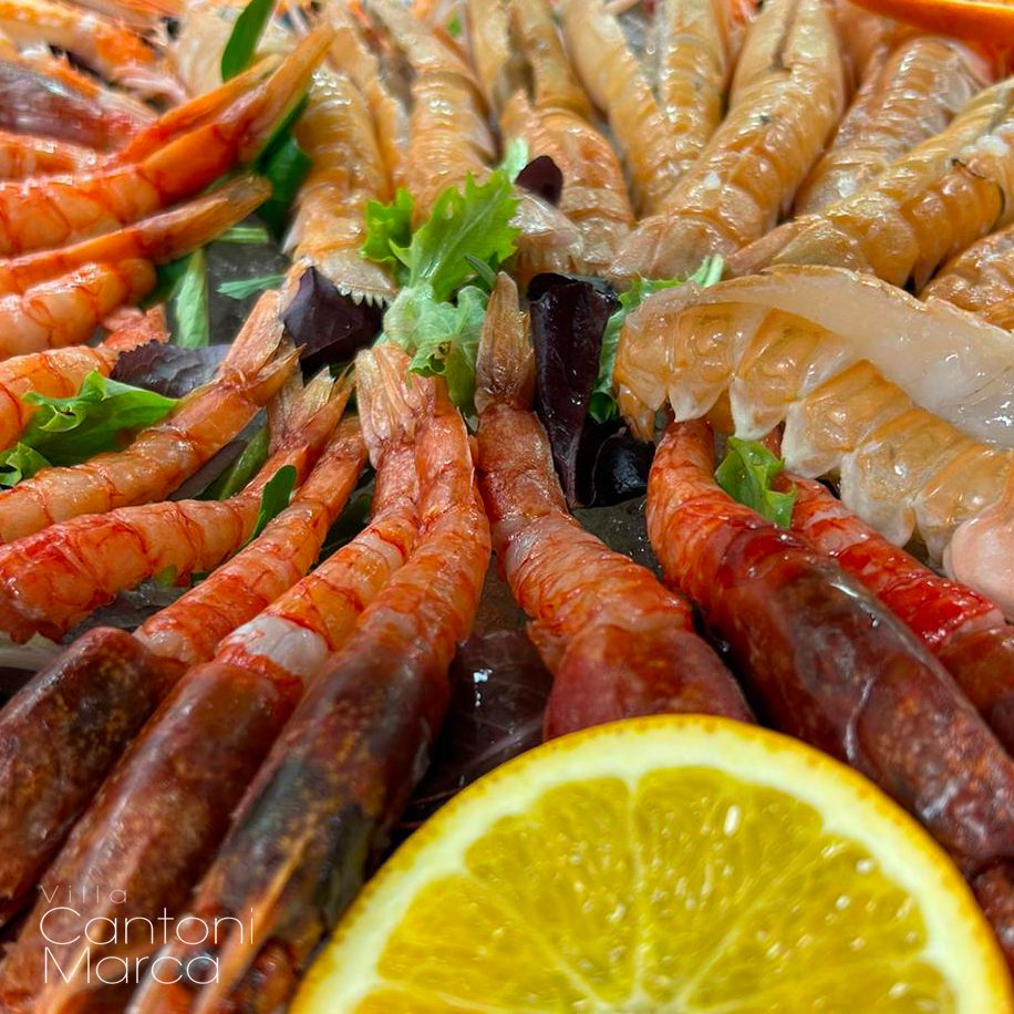 Villa Cantoni Marca Ristorante