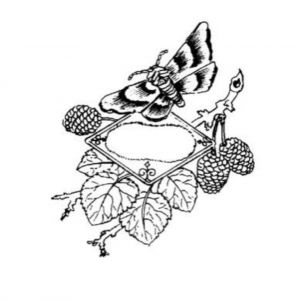 Massimo Camia Logo Massimo Camia
