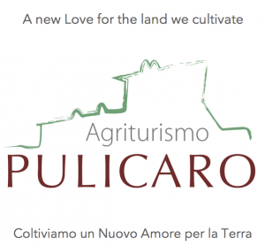 Logo Agriturismo Pulicaro