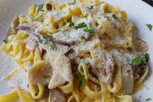 Apricus Osteria & Bar