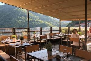 Apricus Osteria & Bar